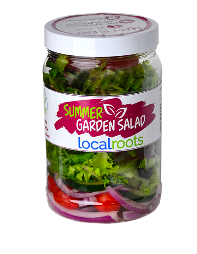 Summer Garden Salad Image