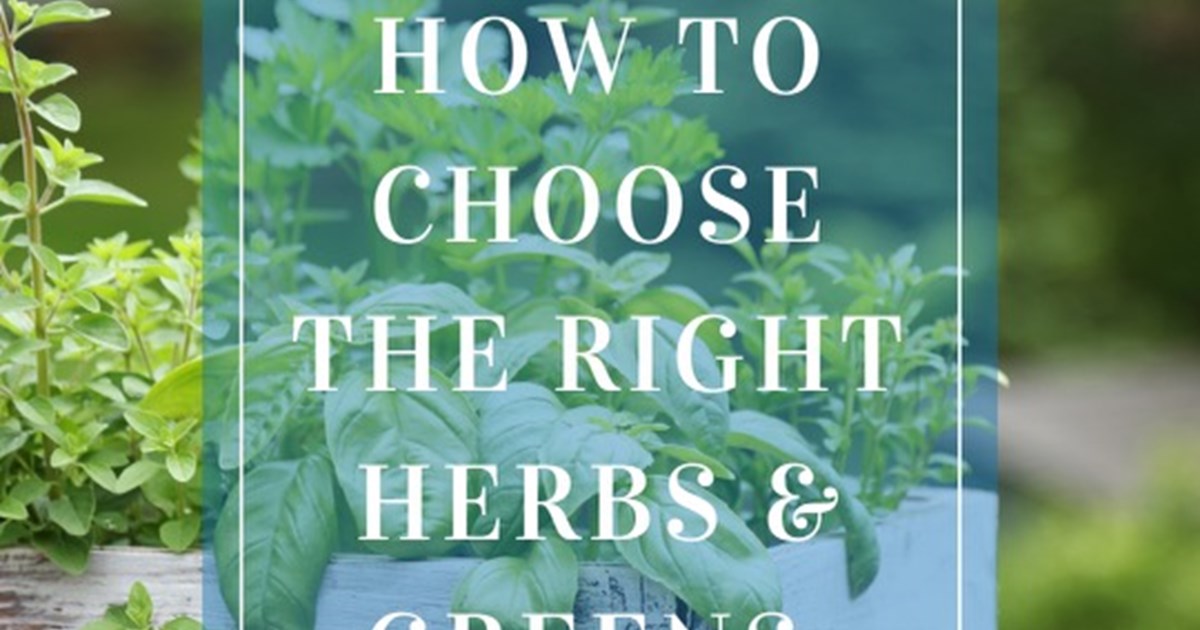 The Perfect Pairing – How to Choose the Right Herbs and Greens for Your ...