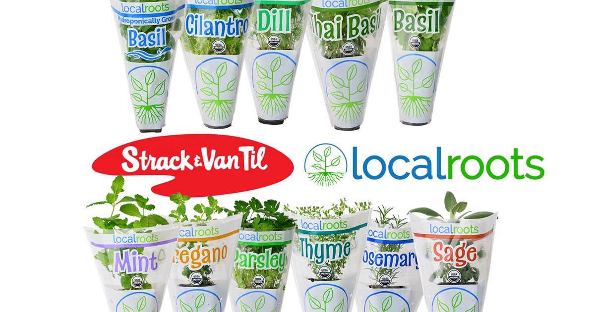 Strack and Van Til Stores Carrying Local Roots Potted Herbs